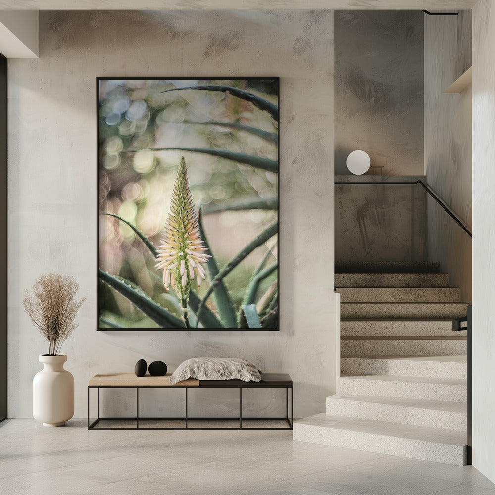 Succulent Serenity | Poster