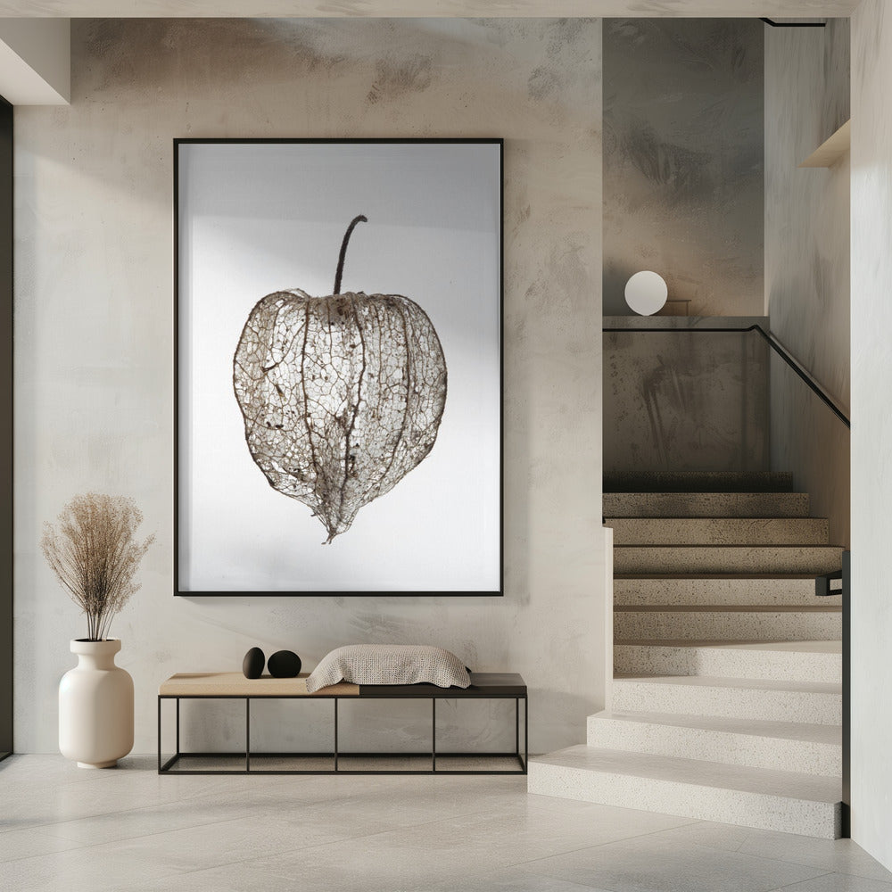 Fragile Nature's Veil | Poster