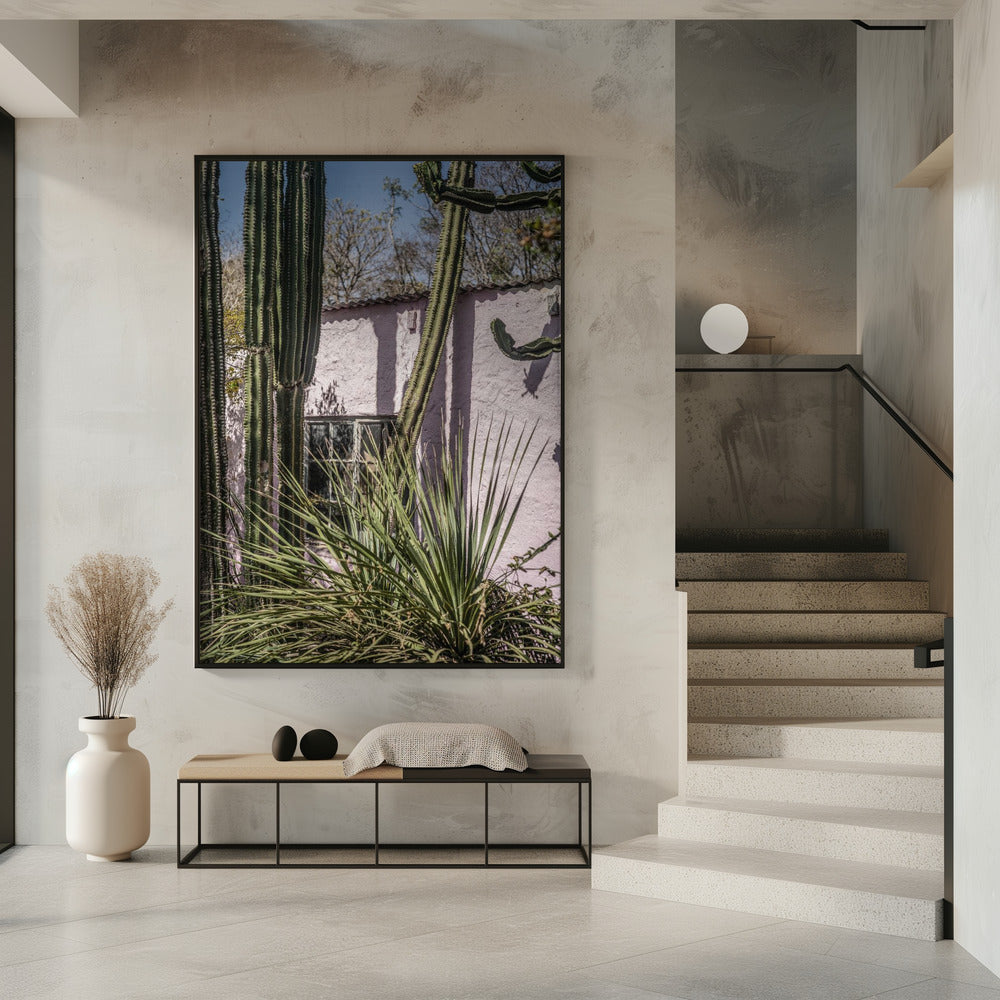 Cactus & Pink Wall | Poster