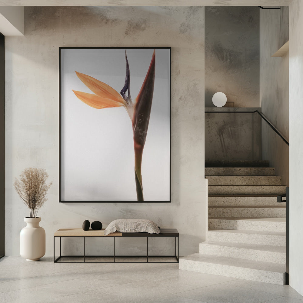 Vibrant Blossom | Poster