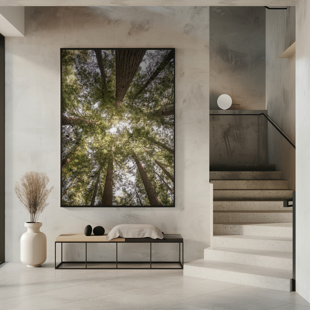 Schönheit der Natur | Poster