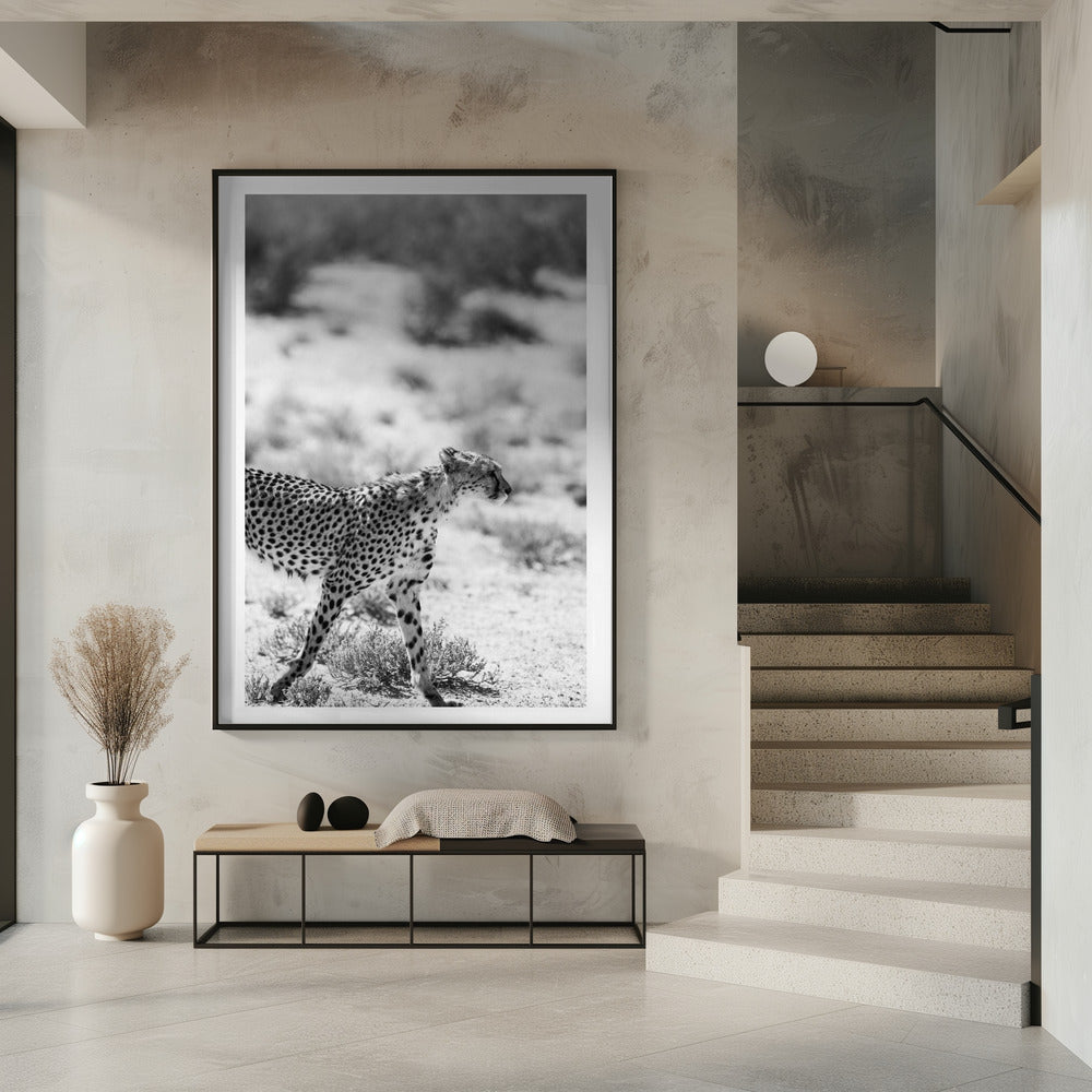Ein laufender Gepard | Poster