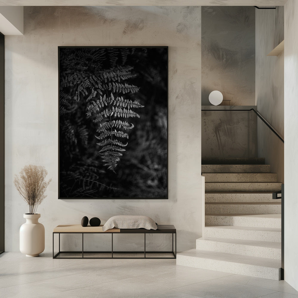 Silver Fern | Poster