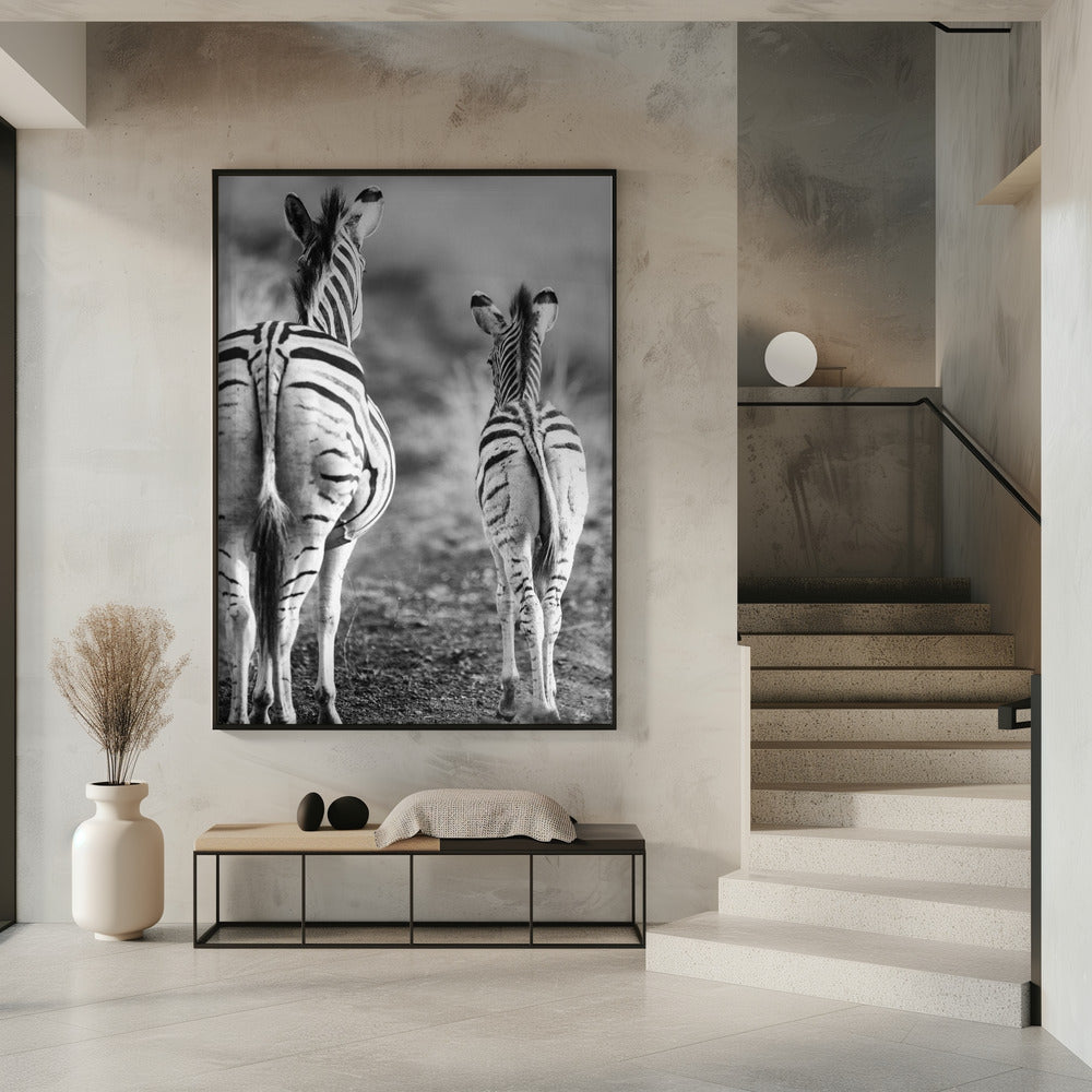 Striped Horse Back Side | Poster