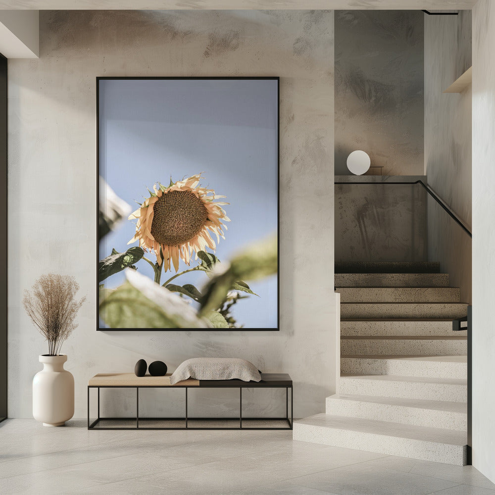 Golden Bloom Sky | Poster