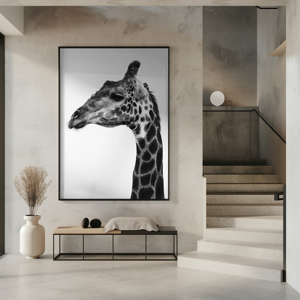 Intricate Patterns Of A Giraffe's Skin | Poster