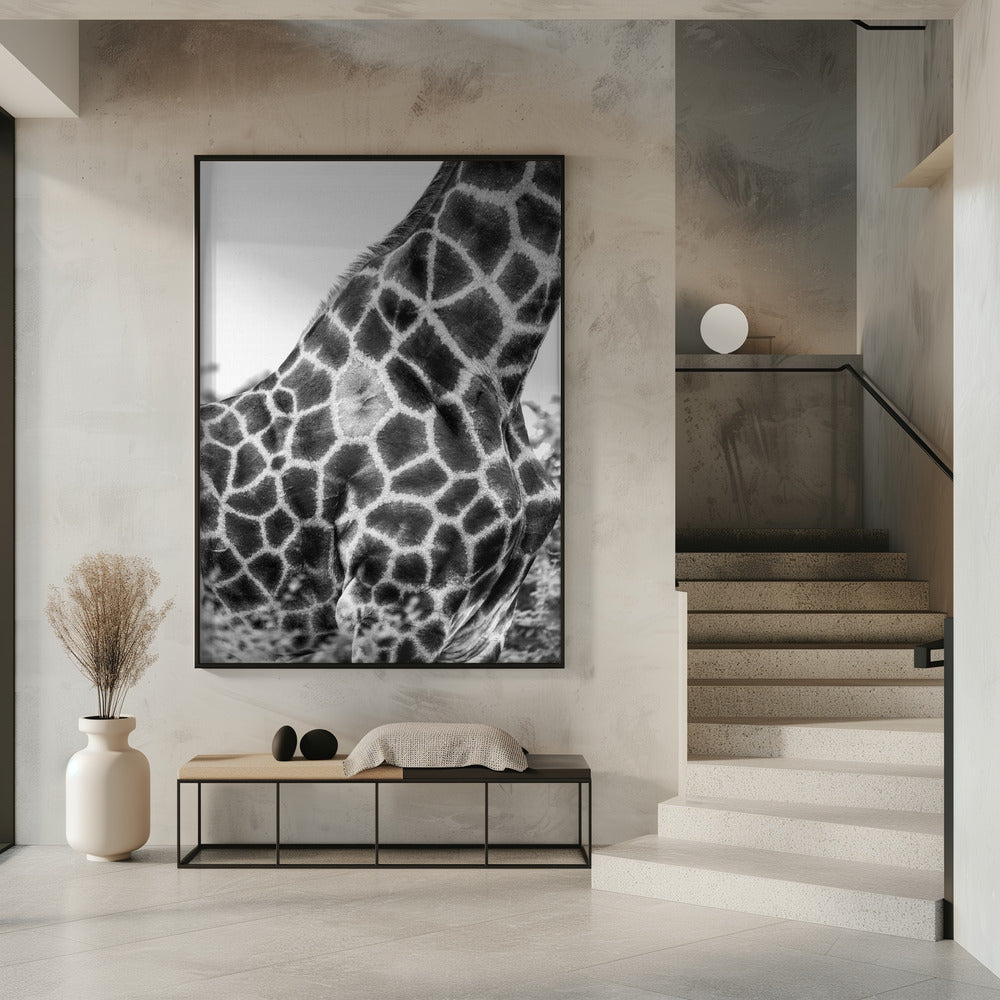 Komplizierte Muster der Giraffenhaut | Poster