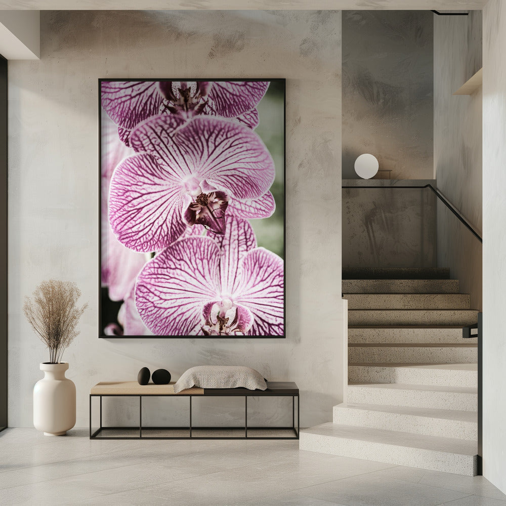 Tigerblüten | Poster