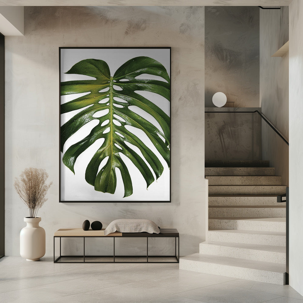 Grünes Monstera-Blatt | Poster