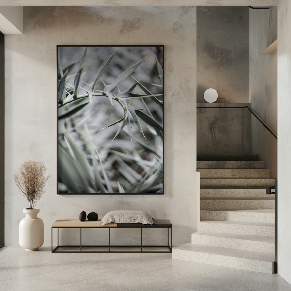 Intricate Details Of Spiky Leaves | Poster