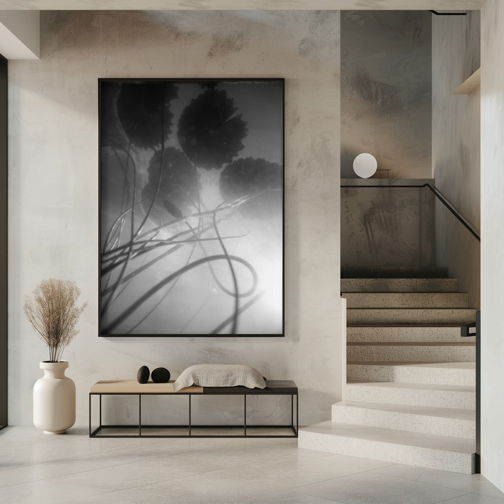 Seerose | Poster
