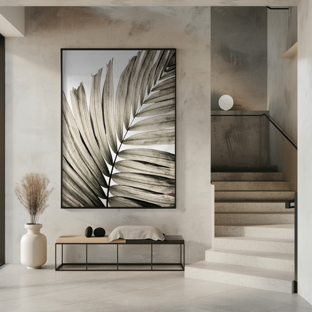 Palmblätter 22 | Poster