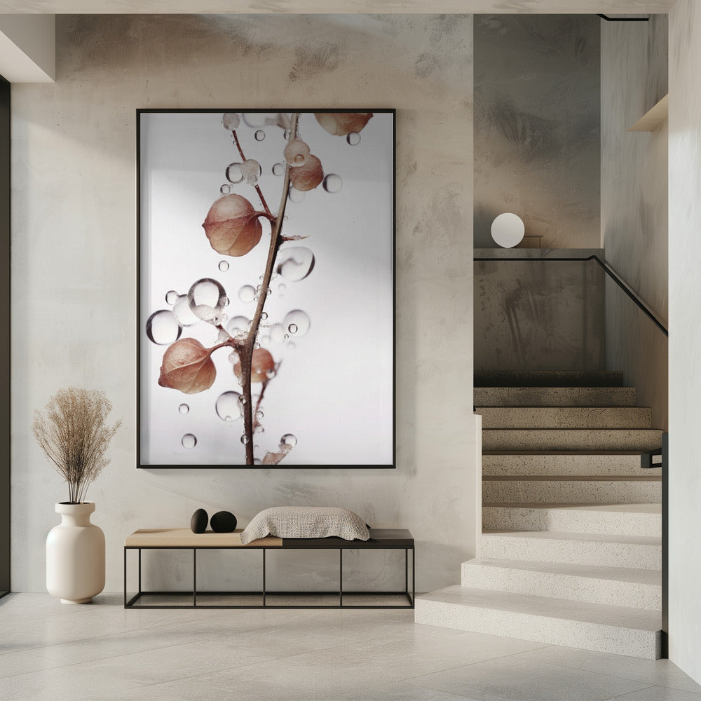 Bubbles and Blooms | Poster