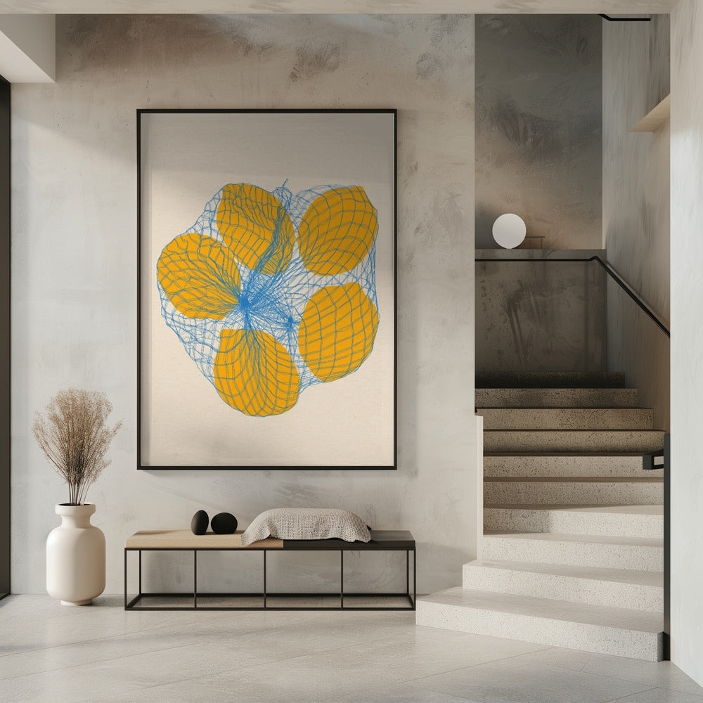 Five Lemons In a Net Bag | Poster