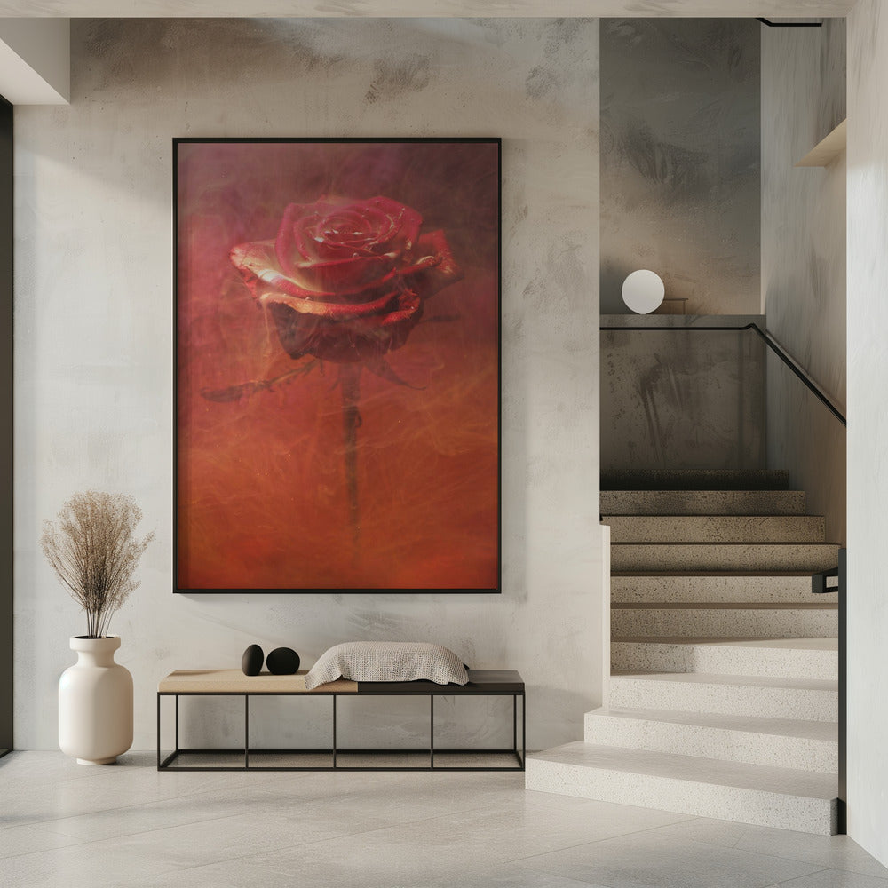 rote Rose und Tinte im Wasser | Poster