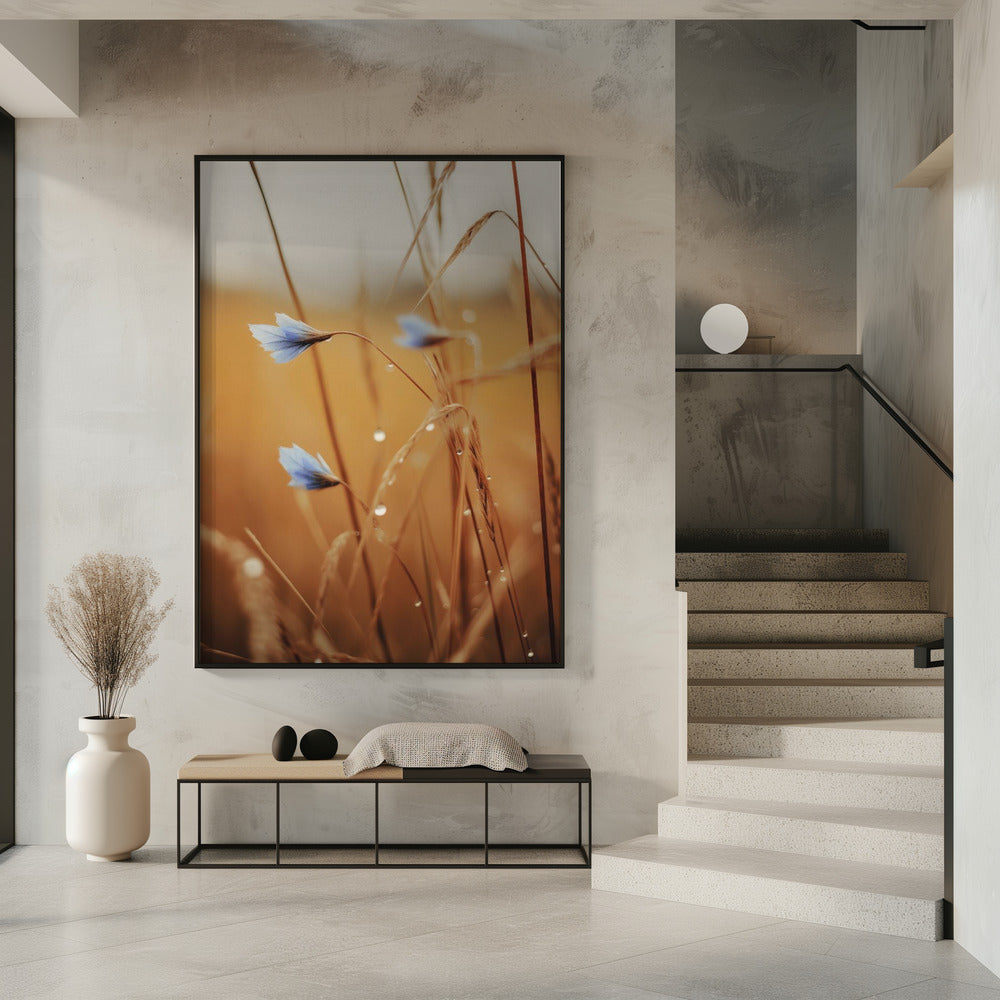 Blue Blooms at Dawn | Poster