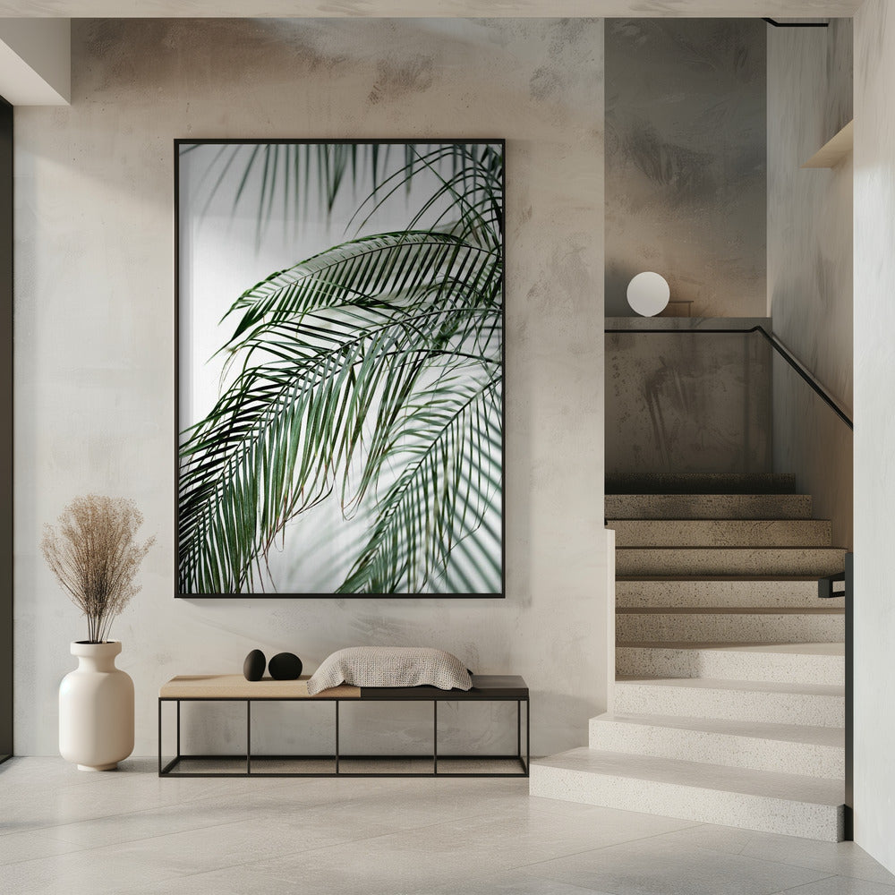 Palmblätter 21 | Poster