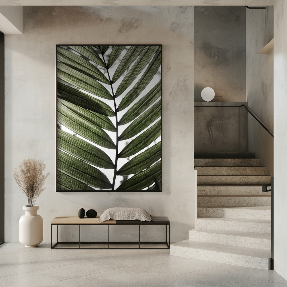 Palmblätter 24 | Poster