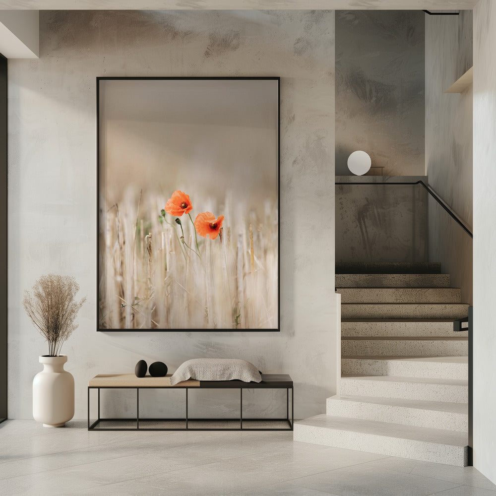 Sommermohn | Poster