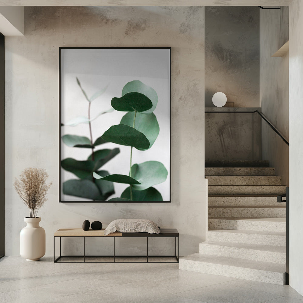 Eukalyptus 5 A1 | Poster