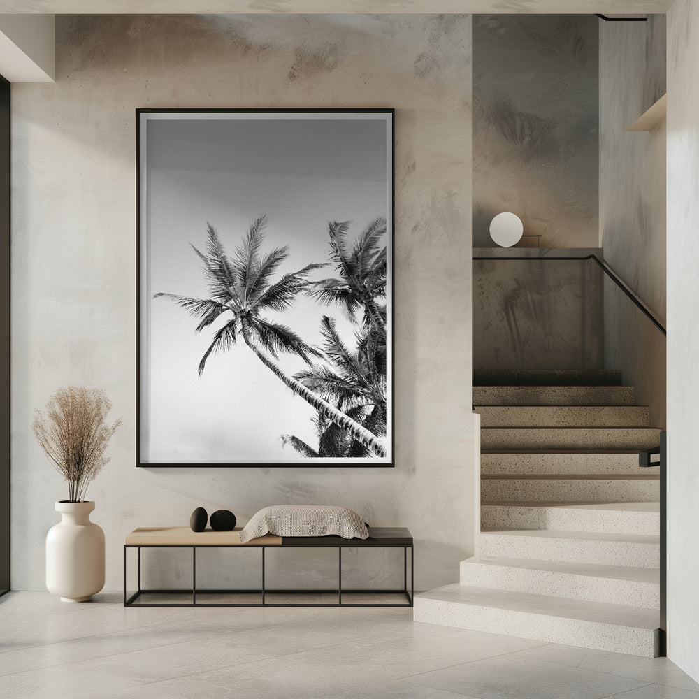 Tropische Silhouetten | Poster