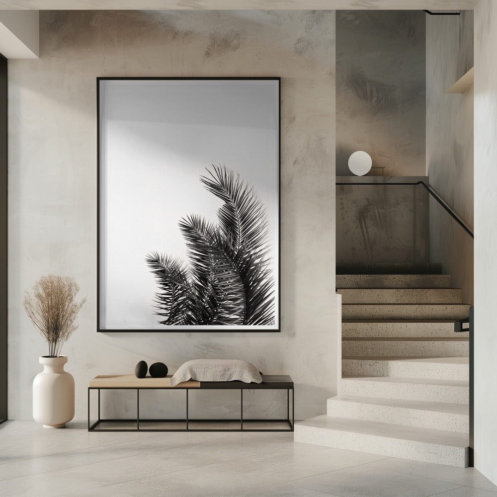 Palmenflüstern | Poster