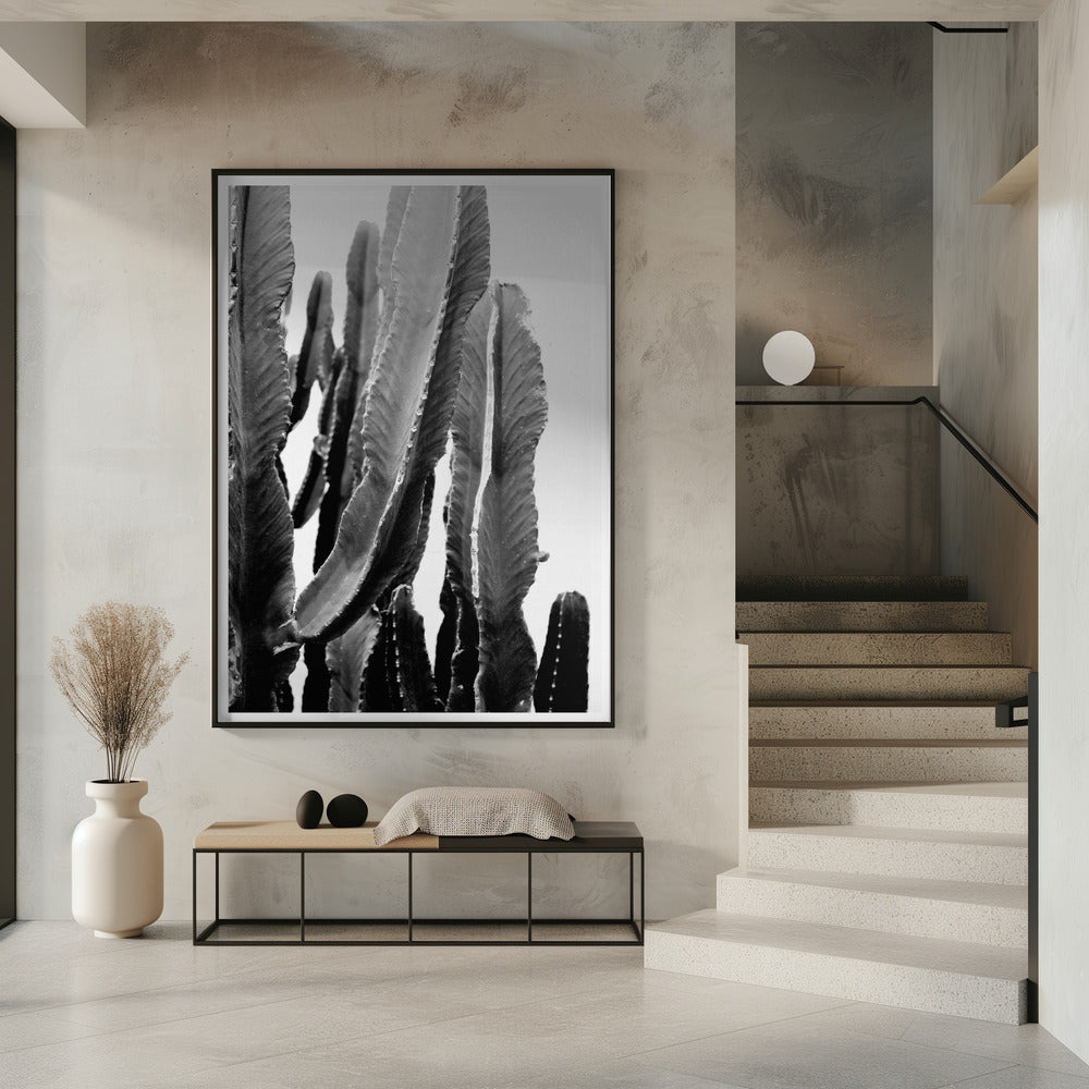 Kaktus-Eleganz | Poster