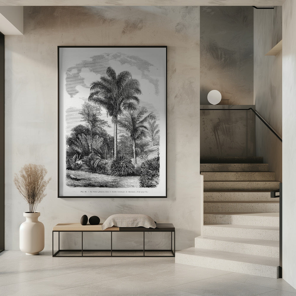 Vintage Palm Tree Drawing Vi | Poster