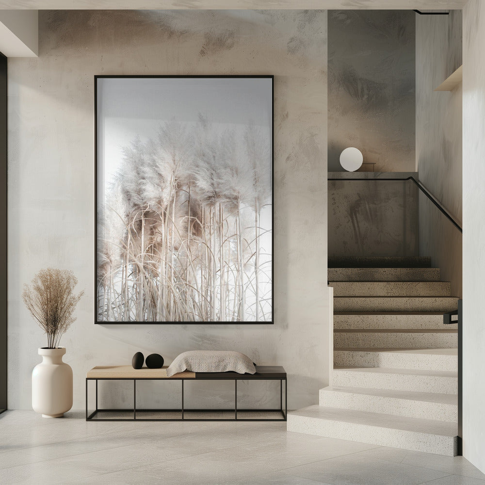 Pampas Grass II | Poster