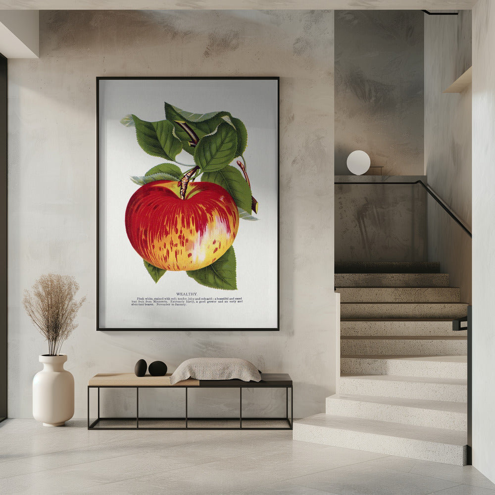 Lithografie „Wealth Apple“ | Poster