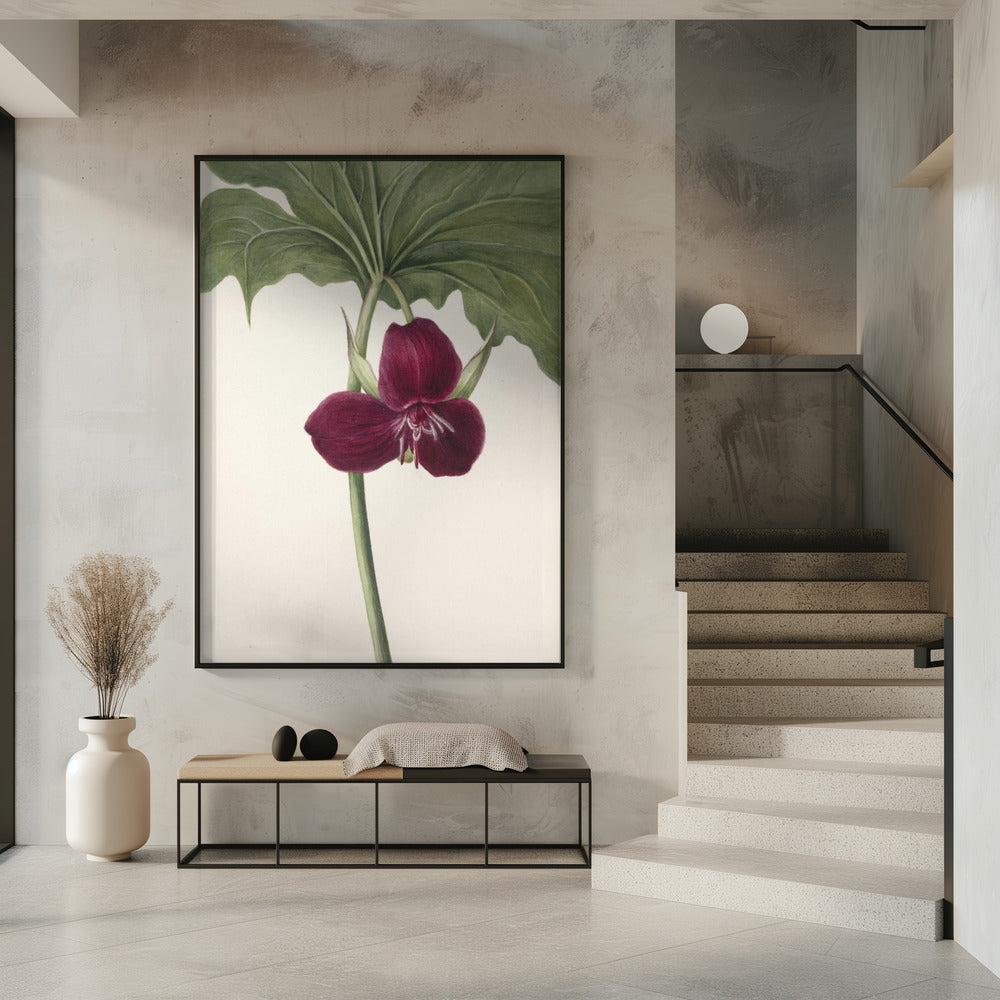 Süßes Trillium | Poster