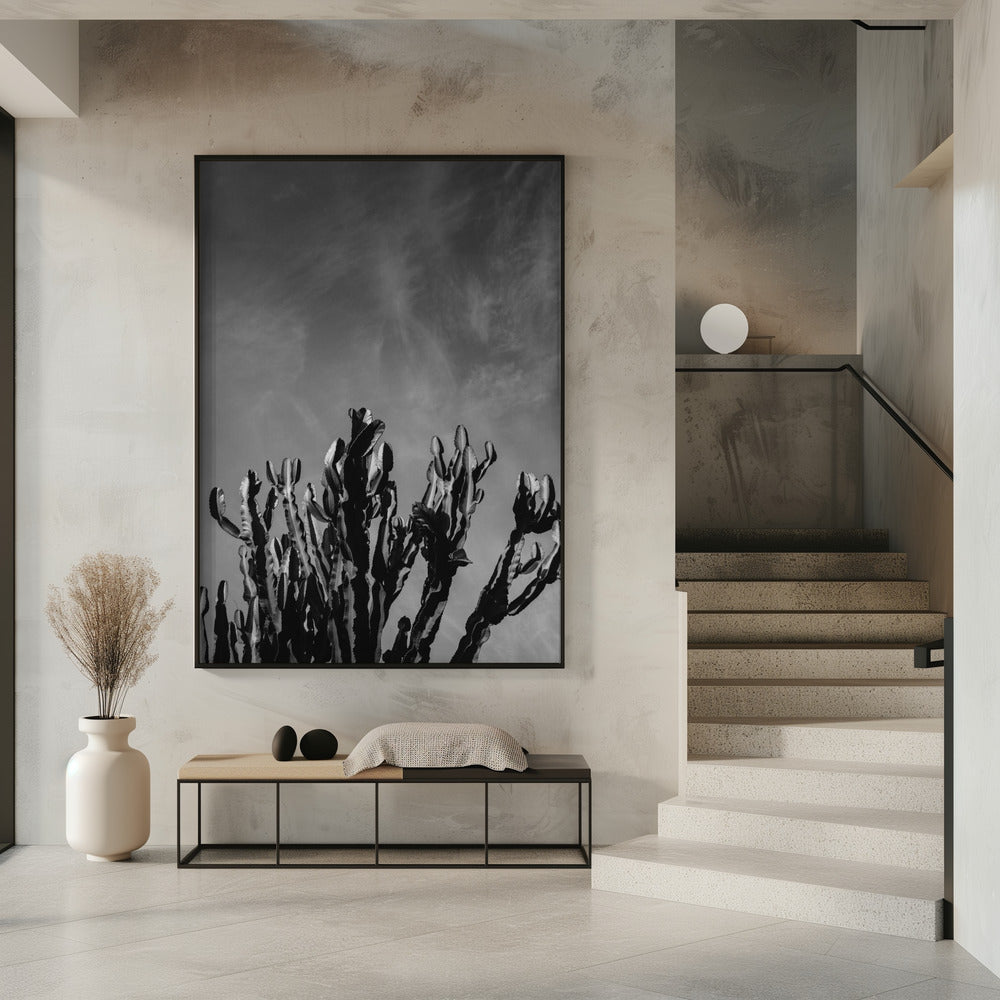 Monochrome Cactus Sky | Poster