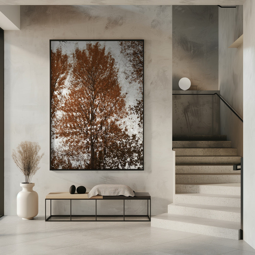 Aspen | Poster