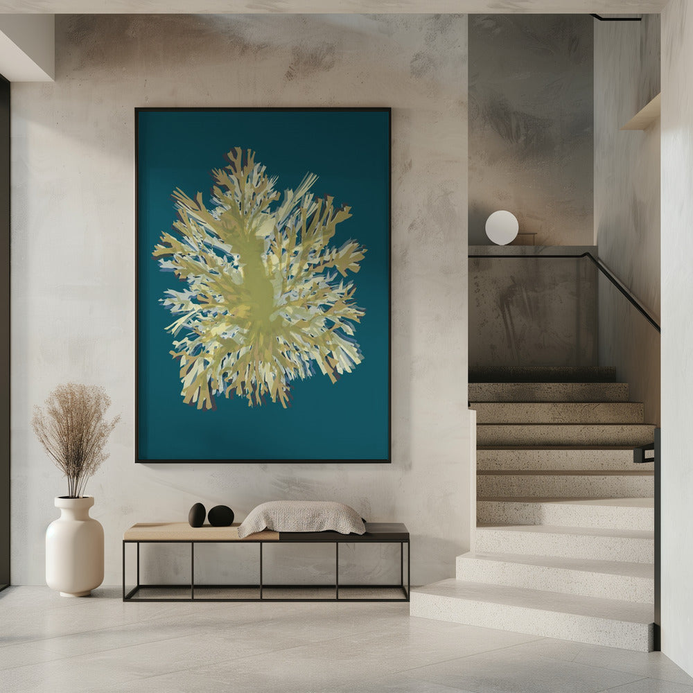Seaweed Poster 1 | Poster