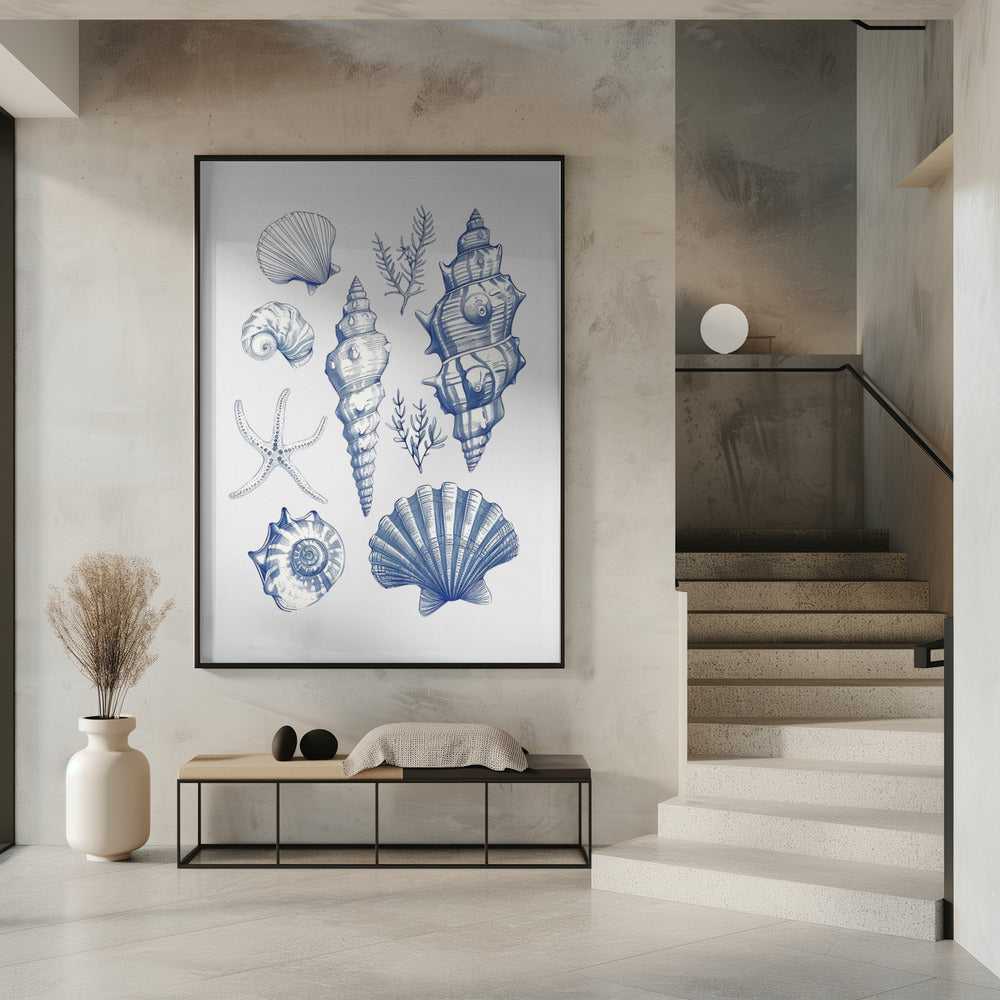 Shell Collage | Poster