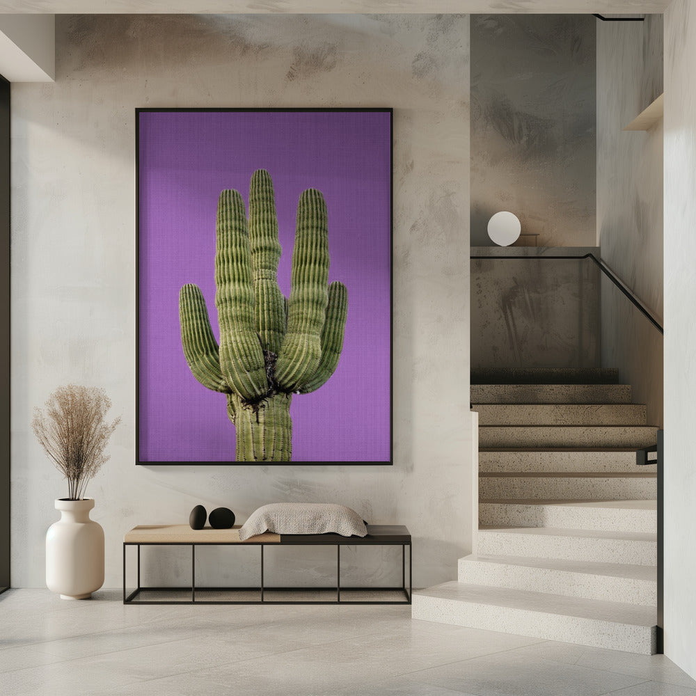 Lila Kaktus | Poster