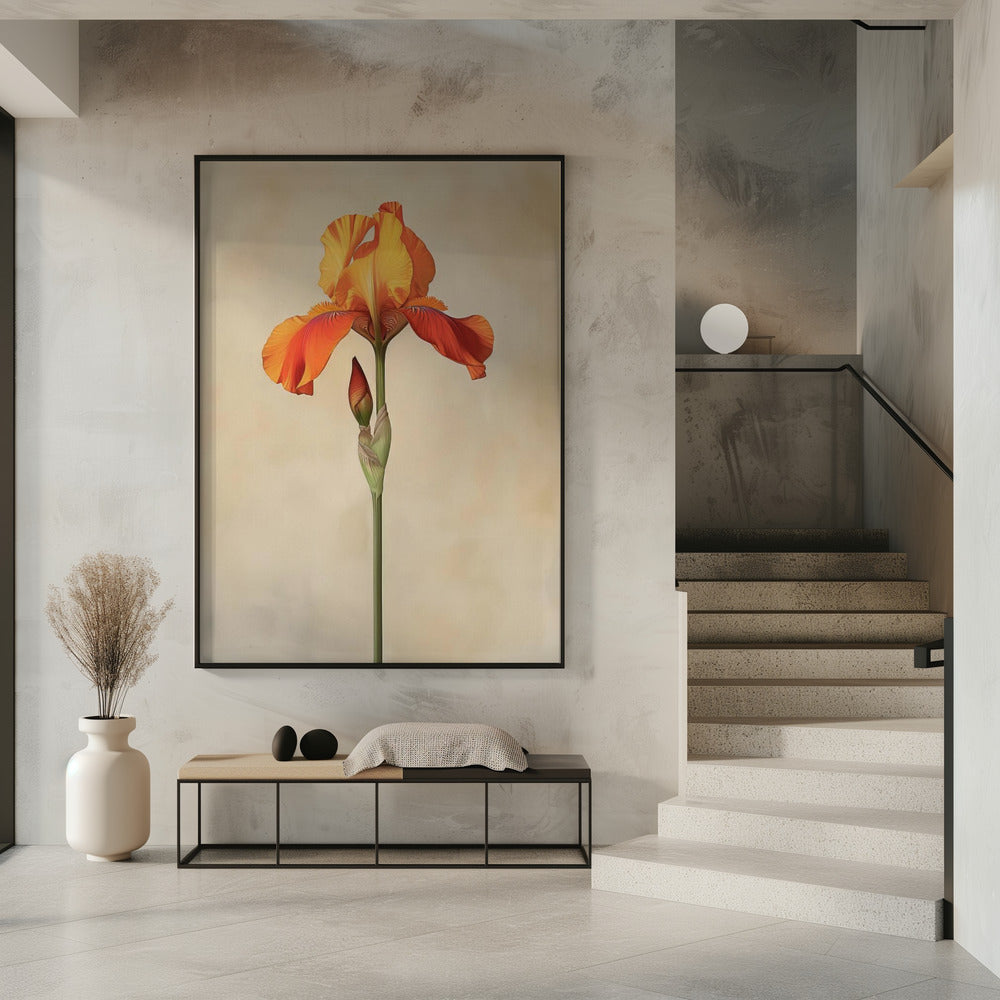 Poster Canvas Sng Iris 34 | Poster