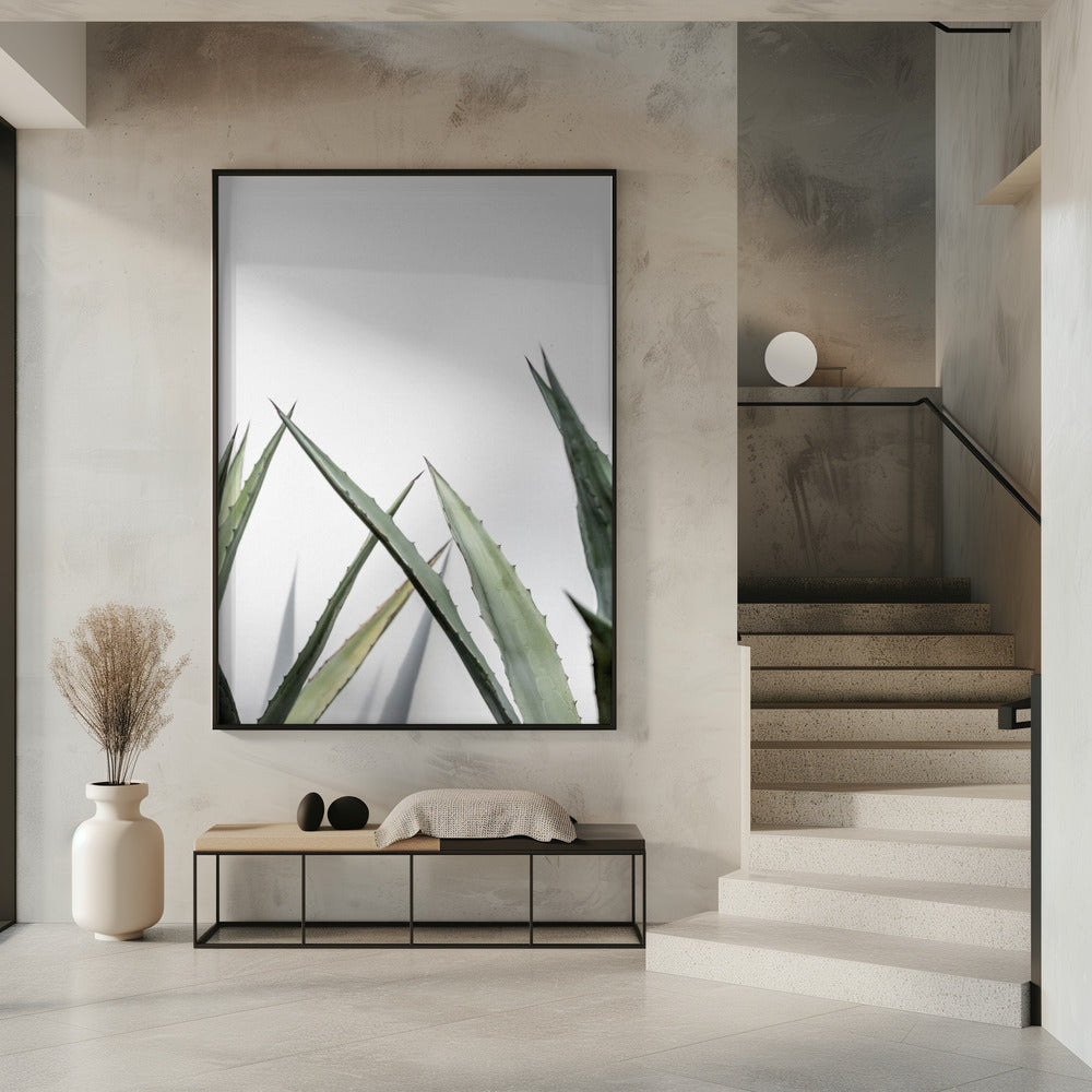 Cactus 7 | Poster