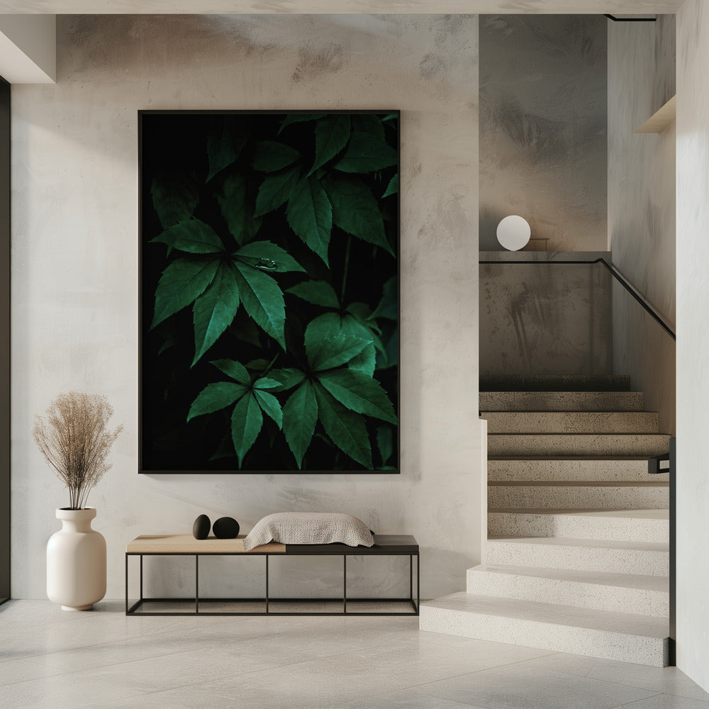 Dark Leaves 7 | Poster