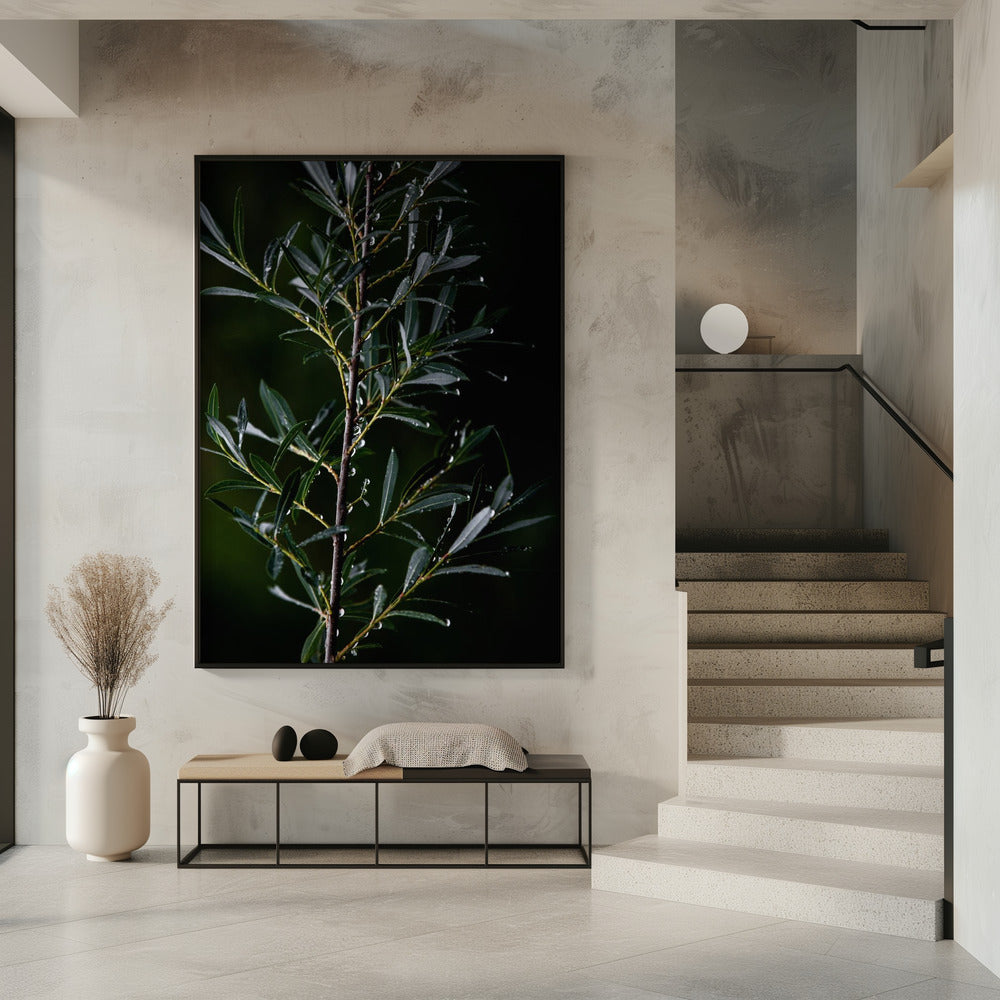 Winter Branches 6 | Poster