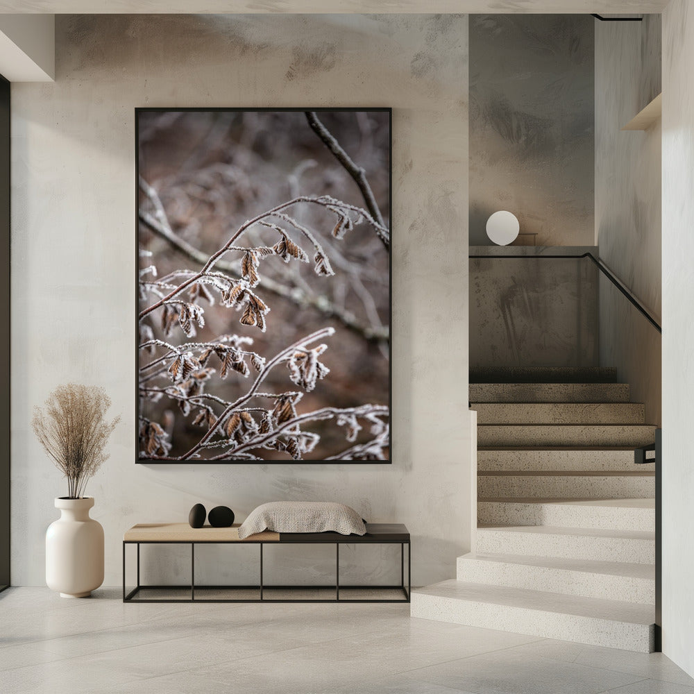 Winterzweige 18 | Poster
