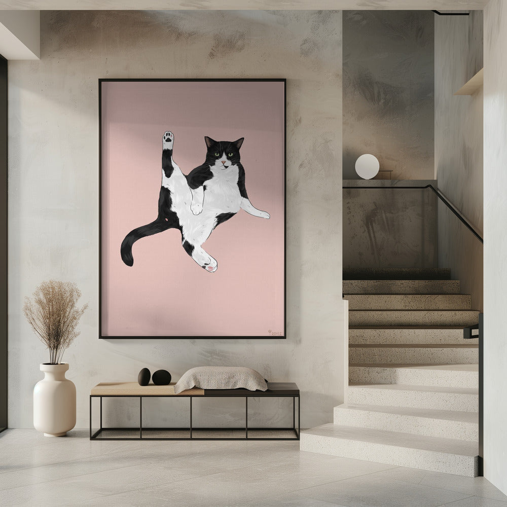 Katze in einer lustigen Pose | Poster