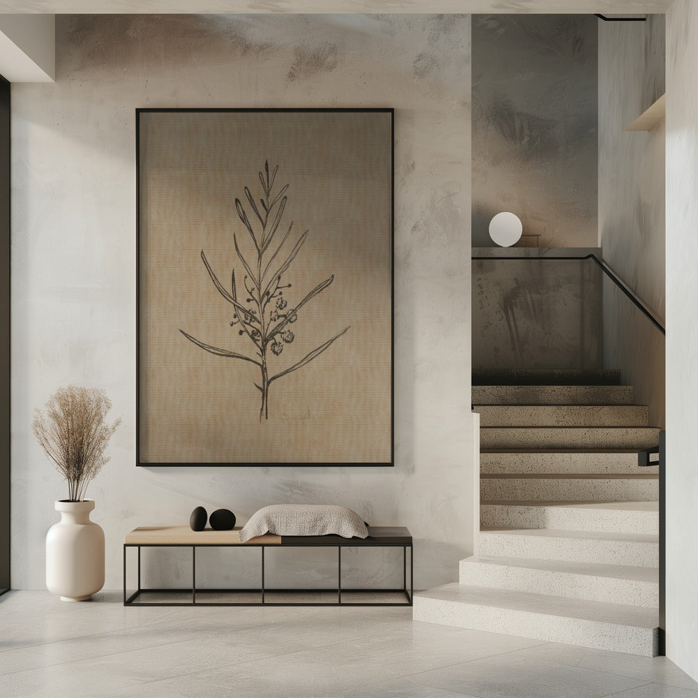 Blackwood Setzling | Poster
