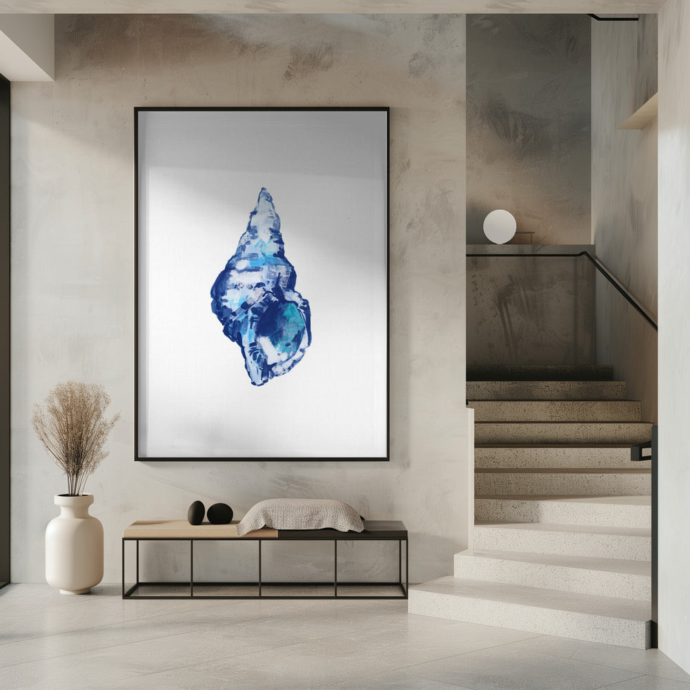 Blaue Muschel auf weißem Hintergrund Nr. 2 | Poster