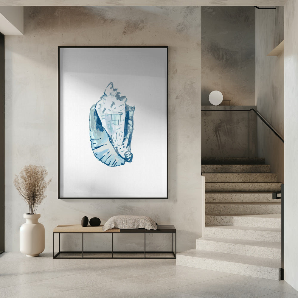 Blaue Muschel auf weißem Hintergrund Nr. 6 | Poster