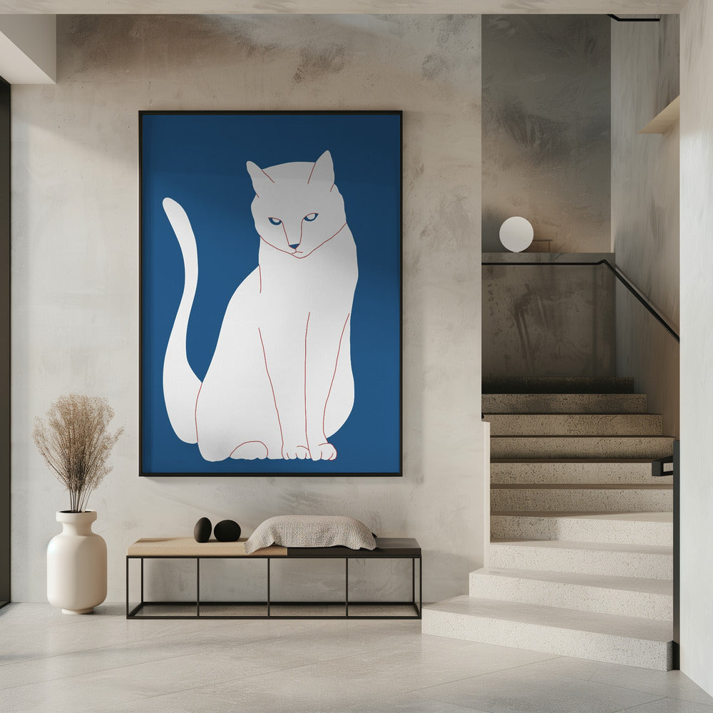 Weiße und blaue Katze | Poster