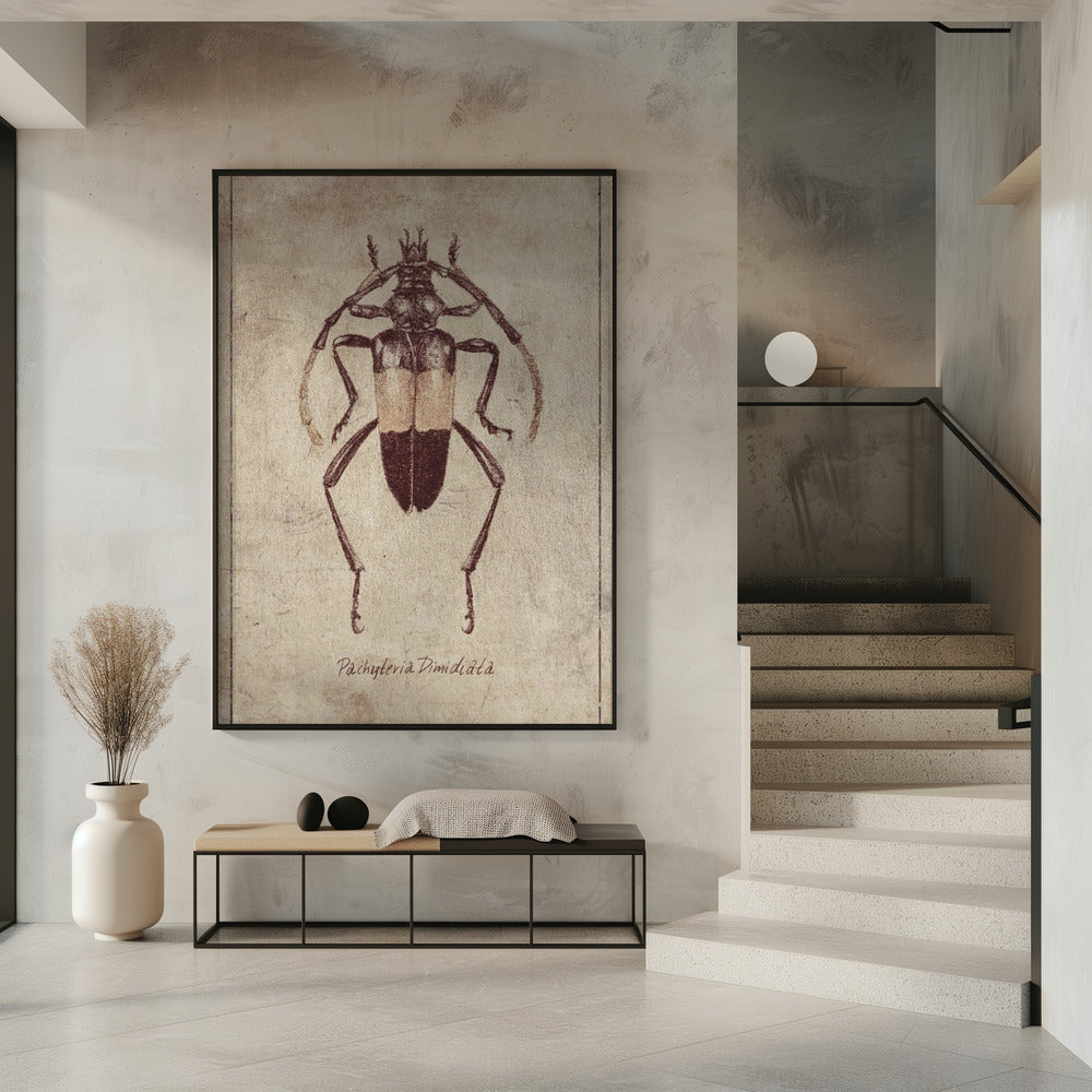 Vintage Insektenskizze | Poster
