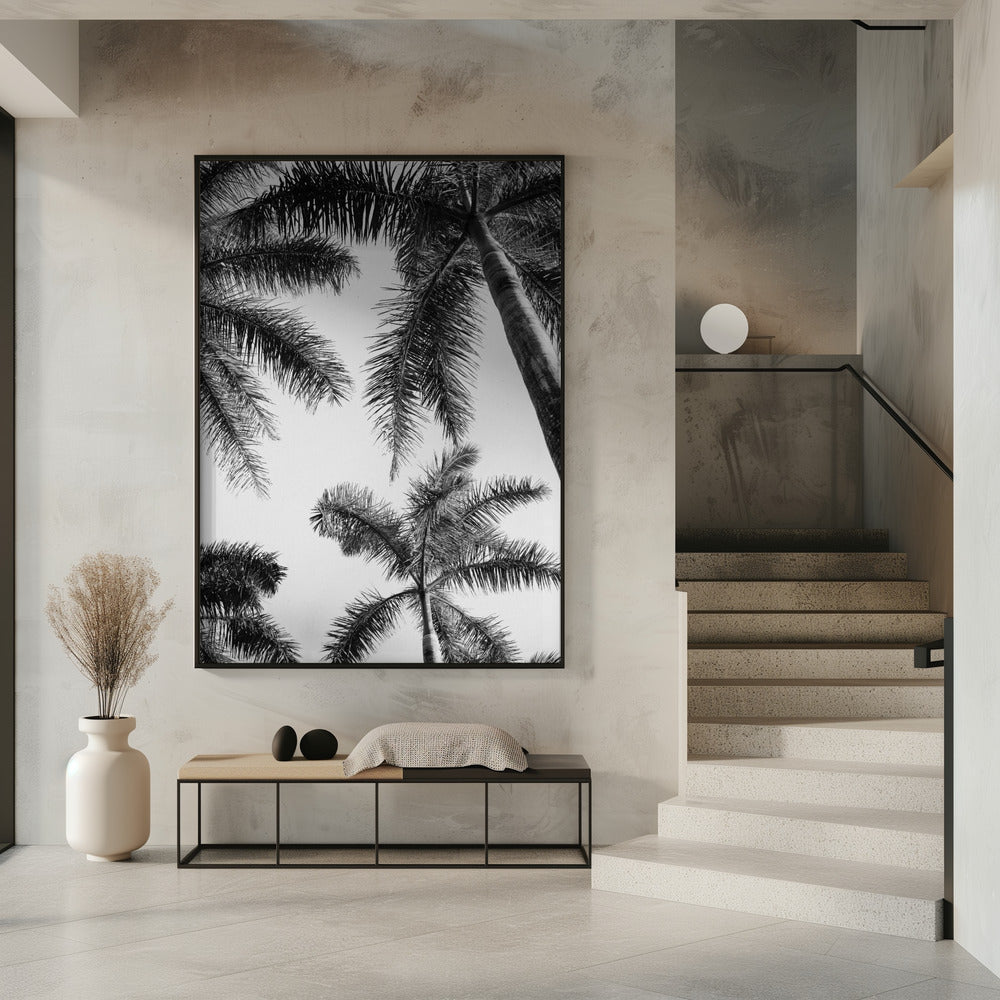 Schwarz-weiße Palme | Poster