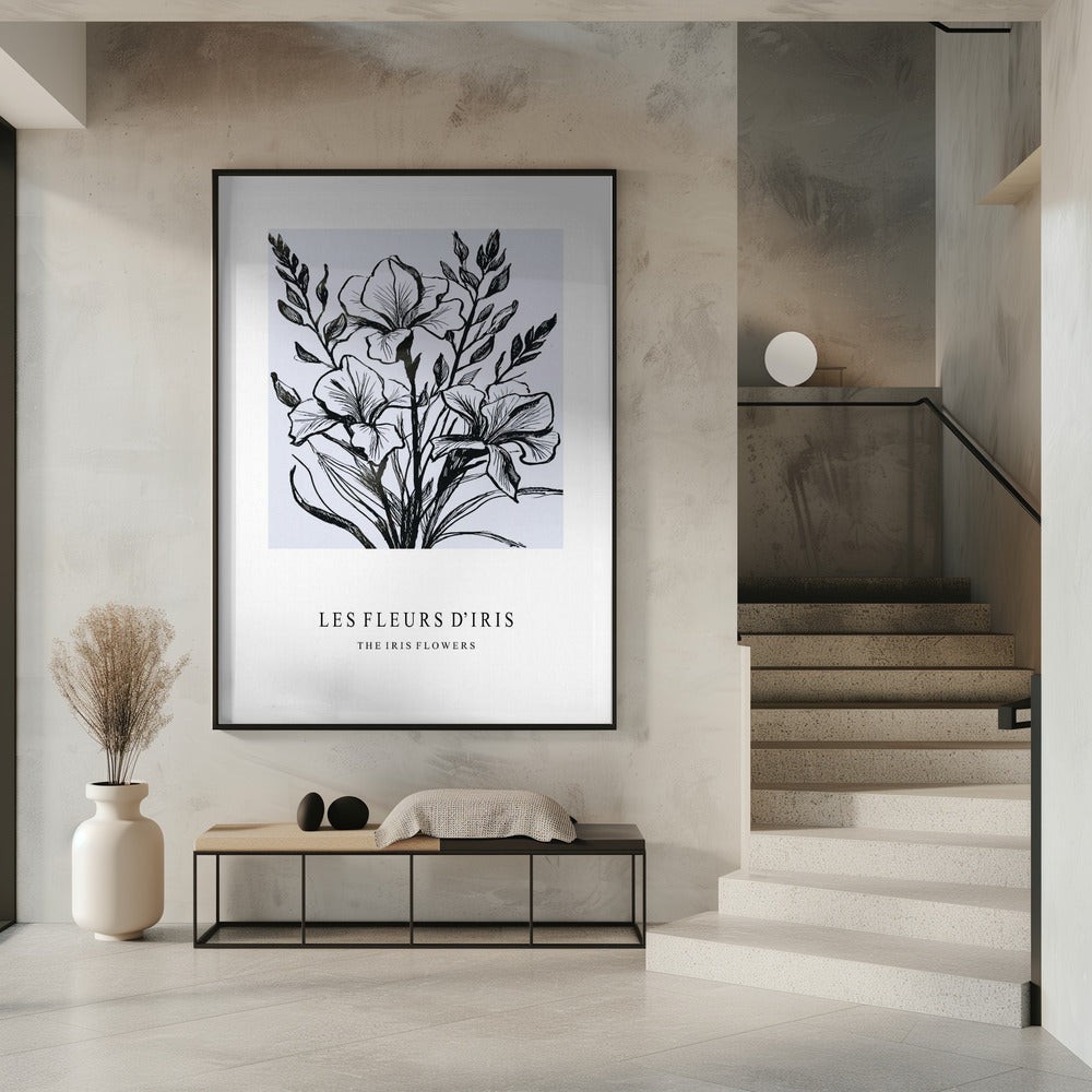 Irisblüten in einer monochromen Illustration | Poster