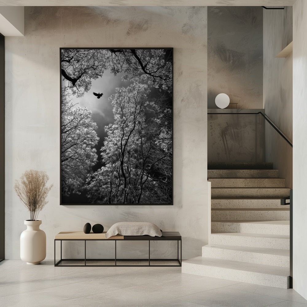 Flug | Poster